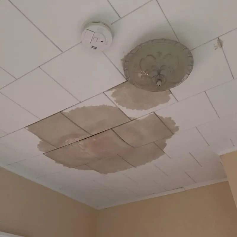 Ceiling Water Damage Repair in Hodgdon, ME